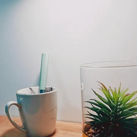 Apartman Kaylee Lounge *